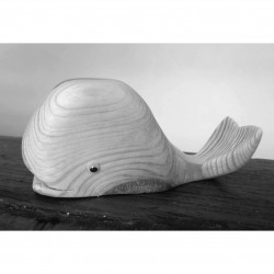 Bébé baleine variation